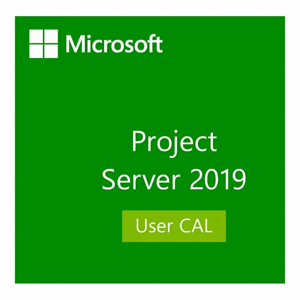 Лицензия Microsoft Project Server 2019 User CAL (DG7GMGF0F4LF0001)