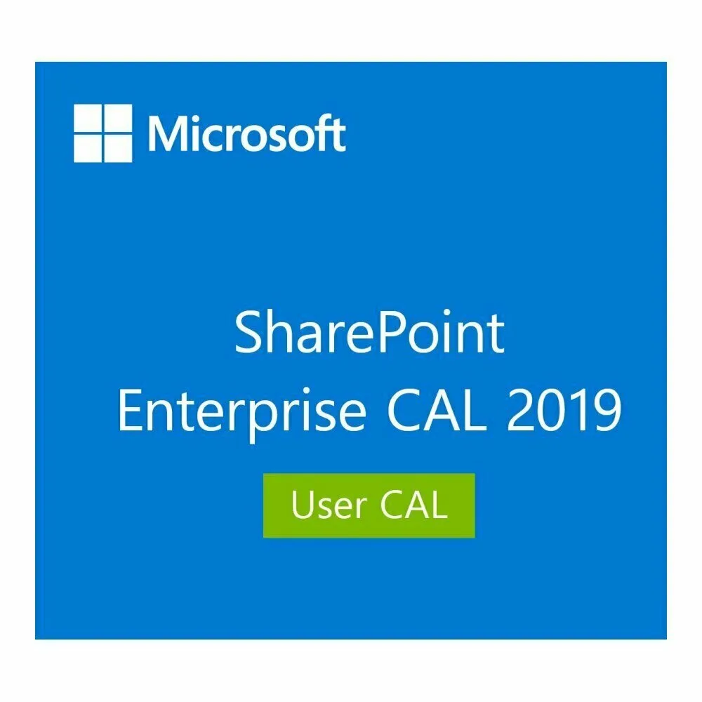 Лицензия Microsoft SharePoint Enterprise 2019 User CAL (DG7GMGF0F4LV0002)